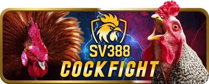 Hướng dẫn chi tiết cách nhận ưu đãi tại 89bet Code